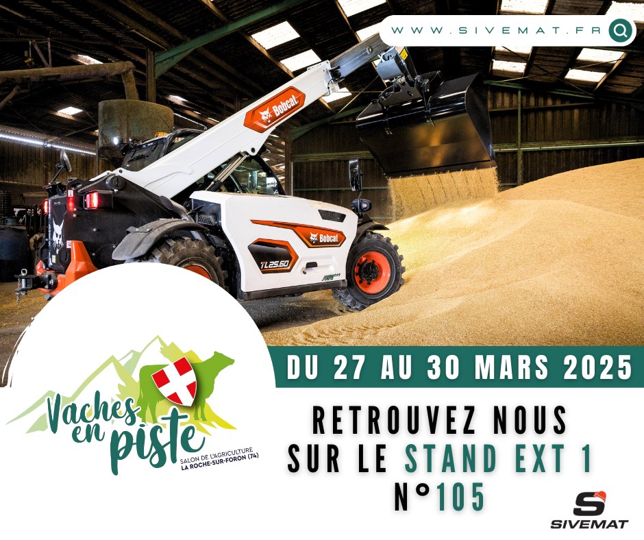 VACHES EN PISTE