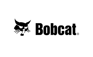 Bobcat