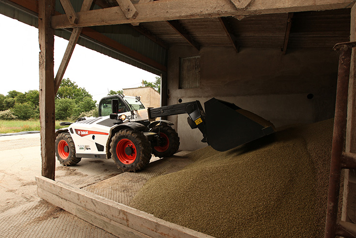 télescopique industrie Bobcat TL30 60